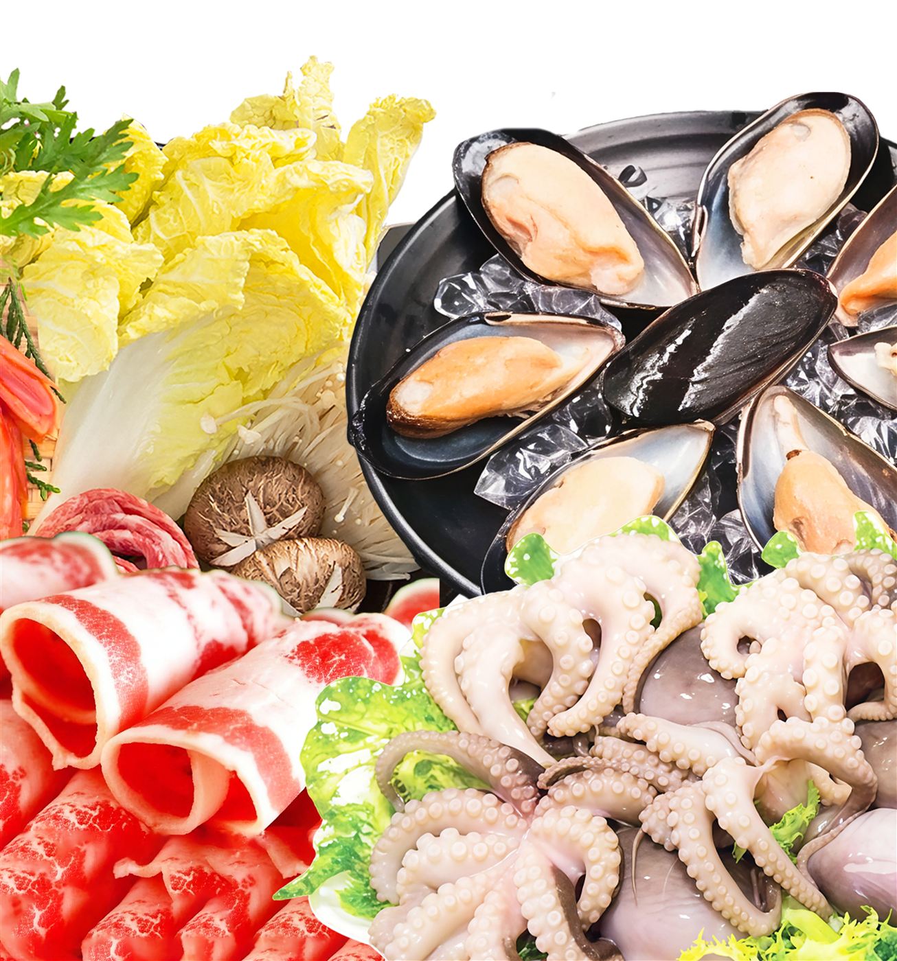Fresh seafood selection